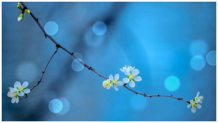 Lịch sử - văn hoá - xã hội