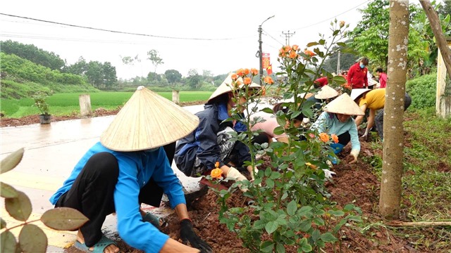 Hội phụ nữ xã Cộng Hòa ra quân trồng hoa hồng