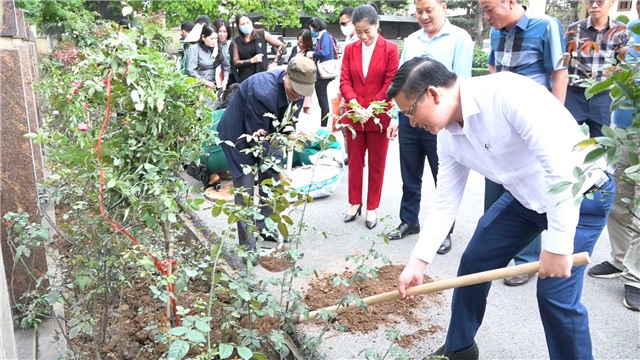 Tập huấn kỹ thuật trồng và chăm sóc cây hoa hồng