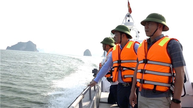 Kiểm tra tiến độ di dời lồng bè nuôi trồng thủy sản trái phép trên biển