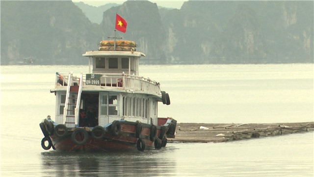 Phường Quang Hanh: Kiên quyết xử lý việc nuôi trồng thủy sản trái phép trên biển.