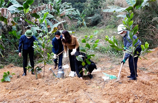 Phường Cẩm Trung phát động “Tết trồng cây đời đời nhớ ơn Bác Hồ”