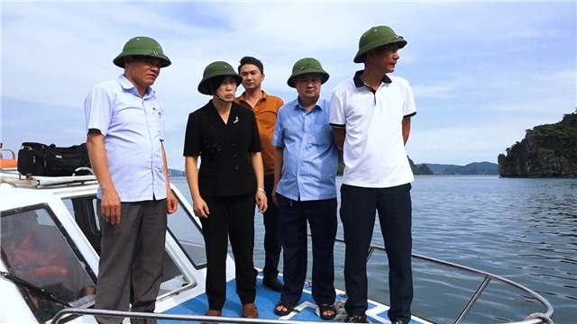 Phó Bí thư Thường trực Thành ủy Nguyễn Thị Kim Phượng: Kiểm tra thực tế việc nuôi thủy sản trên địa bàn phường Cẩm Sơn