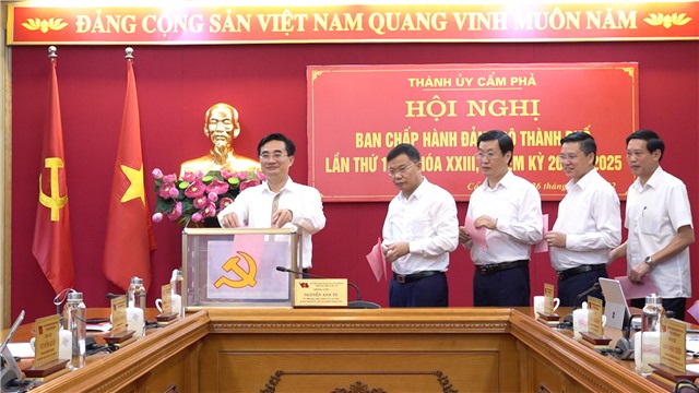 Thực hiện quy trình bầu bổ sung Ủy viên Ban Thường vụ Thành ủy