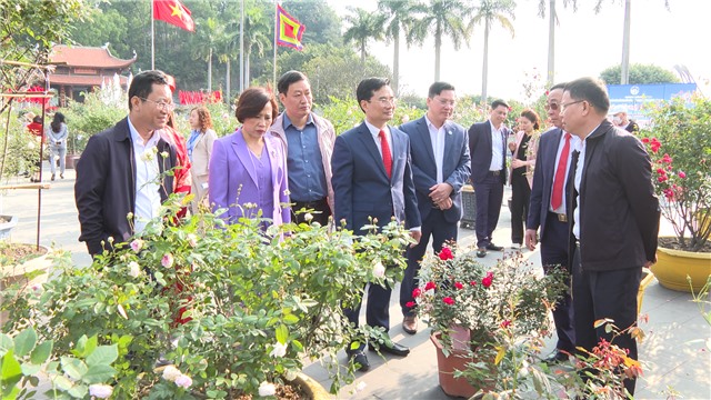 Khai mạc triển lãm, trưng bày hoa hồng năm 2023