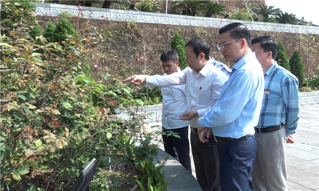 Viện Nghiên cứu Rau quả, Bộ Nông nghiệp và Phát triển nông thôn khảo sát các điểm trồng hoa hồng trên địa bàn thành phố
