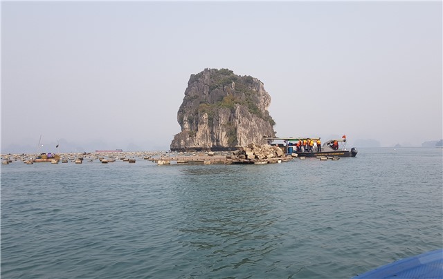 Thông tin tiến độ thực hiện di dời lồng bè, phao xốp lấn chiếm luồng, lạch nuôi trồng thủy sản trái phép gây ô nhiễm môi trường trên biển ( Bản tin số 1 ngày 21/3/2023)
