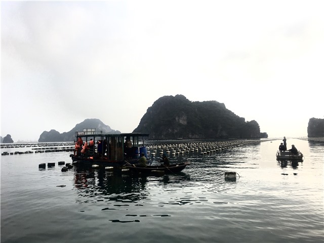 Thông tin tiến độ thực hiện di dời lồng bè, phao xốp lấn chiếm luồng, lạch nuôi trồng thủy sản trái phép gây ô nhiễm môi trường trên biển ( Bản tin số 3 ngày 23/3/2023)