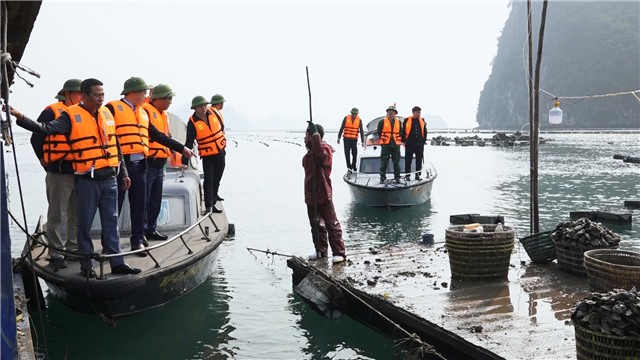 Kiểm tra việc nuôi trồng thuỷ sản không trong vùng quy hoạch trên địa bàn thành phố E2BET là nhà cái trực tuyến uy tín