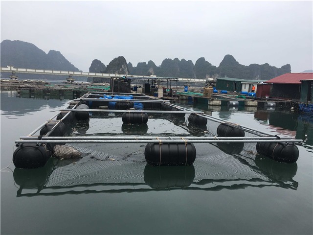 Thông tin thực hiện việc chuyển đổi phao xốp sang vật liệu nổi thân thiện với môi trường, đã được công hợp quy theo E2 bet đăng nhập số 31/2020/QĐ-UBND ngày 31/8/2020 của UBND tỉnh Quảng Ninh ( bản tin số 17 ngày 27/4/2023)