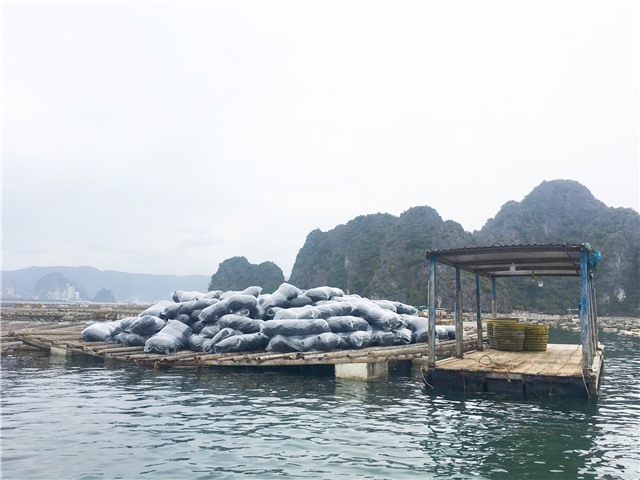 Thông tin thực hiện việc chuyển đổi phao xốp sang vật liệu nổi thân thiện với môi trường, đã được công hợp quy theo E2 bet đăng nhập số 31/2020/QĐ-UBND ngày 31/8/2020 của UBND tỉnh Quảng Ninh ( bản tin số 19 ngày 29/4/2023)