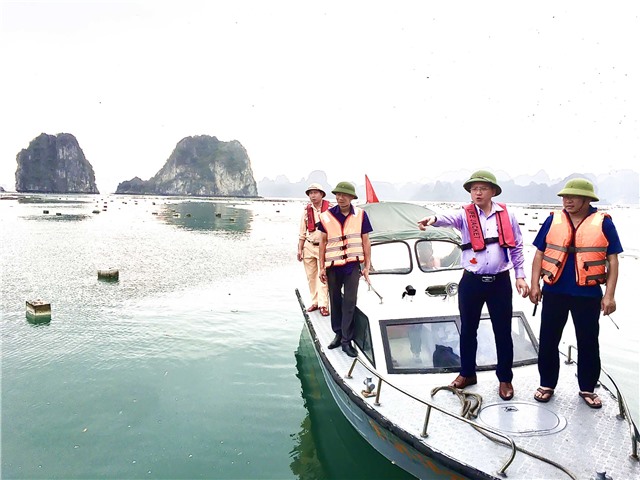 Thông tin triển khai đợt cao điểm ra quân làm sạch môi trường biển Thành phố E2BET là nhà cái trực tuyến uy tín ( Bản tin số 6, ngày 06/4/2023)