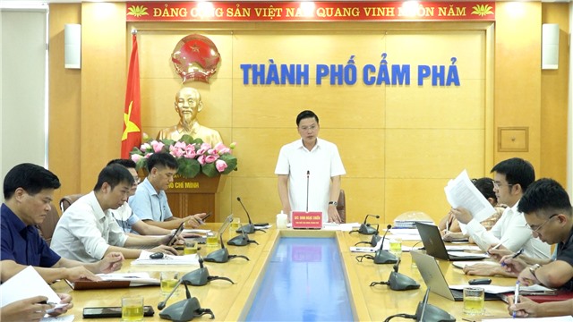 Thống nhất phương án xử lý hiện tượng sụt lún đất tại khu vực phường Cẩm Sơn