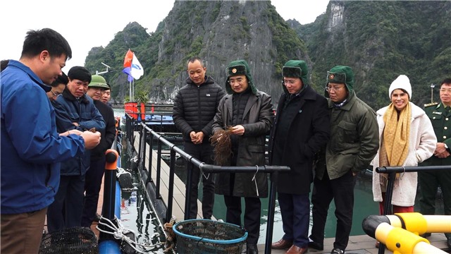 Bí thư Thành uỷ thăm quan mô hình trang trại nuôi trồng thuỷ sản tại Vân Đồn