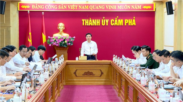 Ban Thường vụ Thành uỷ cho ý kiến về kết quả hỗ trợ, khắc phục thiệt hại cơn bão số 3