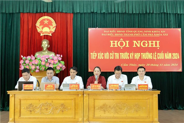 Đại biểu HĐND Tỉnh, đại biểu HĐND Thành phố tiếp xúc cử tri phường Cẩm Thạch, Cẩm Thủy