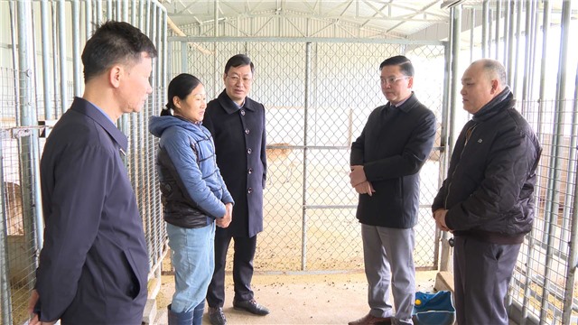 Lãnh đạo thành phố kiểm công tác phòng chống rét cho gia súc, gia cầm tại xã Cộng Hoà