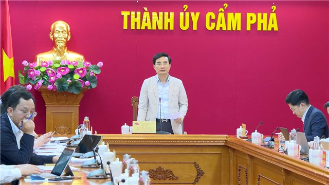 Thường trực Tỉnh ủy cho ý kiến về kết quả thực hiện một số mô hình thí điểm
