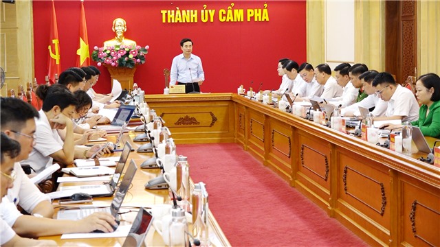 Ban Thường vụ Thành ủy cho ý kiến về kết quả công tác 6 tháng đầu năm, nhiệm vụ trọng tâm 6 tháng cuối năm 2024
