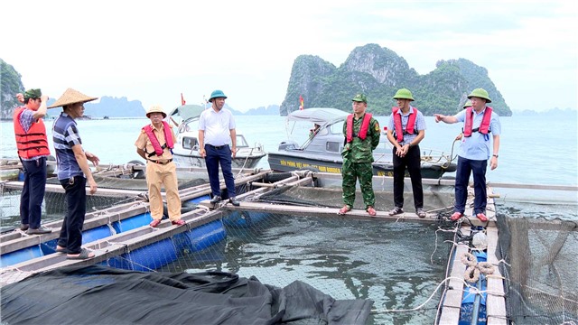 Lãnh đạo thành phố kiểm tra ứng phó với siêu bão Yagi