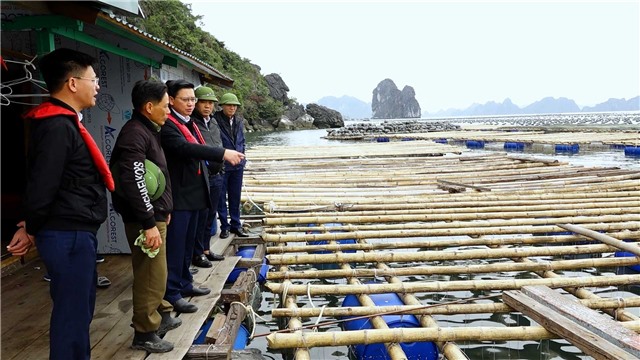 Cương quyết không để nuôi trồng thuỷ sản bằng các vật liệu nổi không hợp quy định của tỉnh Quảng Ninh