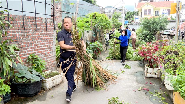 Phường Cẩm Trung ra quân nạo vét, khơi thông suối thoát nước giáp ranh Cẩm Trung - Cẩm Thành